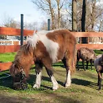 Baltic Park - Wypoczynkowy Z Basenem, Pizza, Mini Zoo, Bliskosc Natury, Animacje Dla Dzieci, Alpaki, Duuuuuzo Atrakcji - Raj Dla Dzieci I Rodzicow * Niechorze