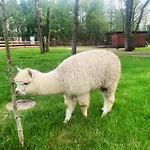 Baltic Park - Wypoczynkowy Z Basenem, Pizza, Mini Zoo, Bliskosc Natury, Animacje Dla Dzieci, Alpaki, Duuuuuzo Atrakcji - Raj Dla Dzieci I Rodzicow Chata