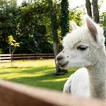 Chata Baltic Park - Wypoczynkowy Z Basenem, Pizza, Mini Zoo, Bliskosc Natury, Animacje Dla Dzieci, Alpaki, Duuuuuzo Atrakcji - Raj Dla Dzieci I Rodzicow Niechorze