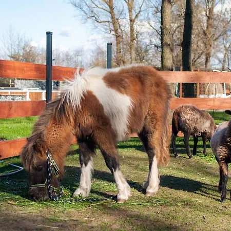 Baltic Park - Wypoczynkowy W Harmonii Z Natura - Komfortowy Z 2 Sypialniami - Grzany Basen- Atrakcje Dla Dzieci Mini Zoo Z Alpakami * Niechorze