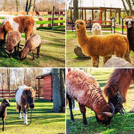 Lodge Baltic Park - Wypoczynkowy W Harmonii Z Natura - Komfortowy Z 2 Sypialniami - Grzany Basen- Atrakcje Dla Dzieci Mini Zoo Z Alpakami Niechorze