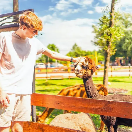Lodge Baltic Park - Wypoczynkowy W Harmonii Z Natura - Komfortowy Z 2 Sypialniami - Grzany Basen- Atrakcje Dla Dzieci Mini Zoo Z Alpakami