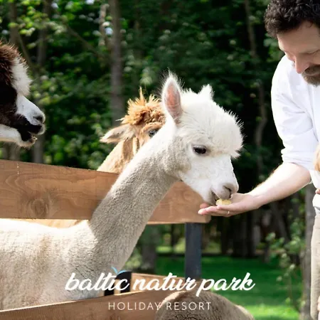 Baltic Park - Wypoczynkowy W Harmonii Z Natura - Komfortowy Z 2 Sypialniami - Grzany Basen- Atrakcje Dla Dzieci Mini Zoo Z Alpakami